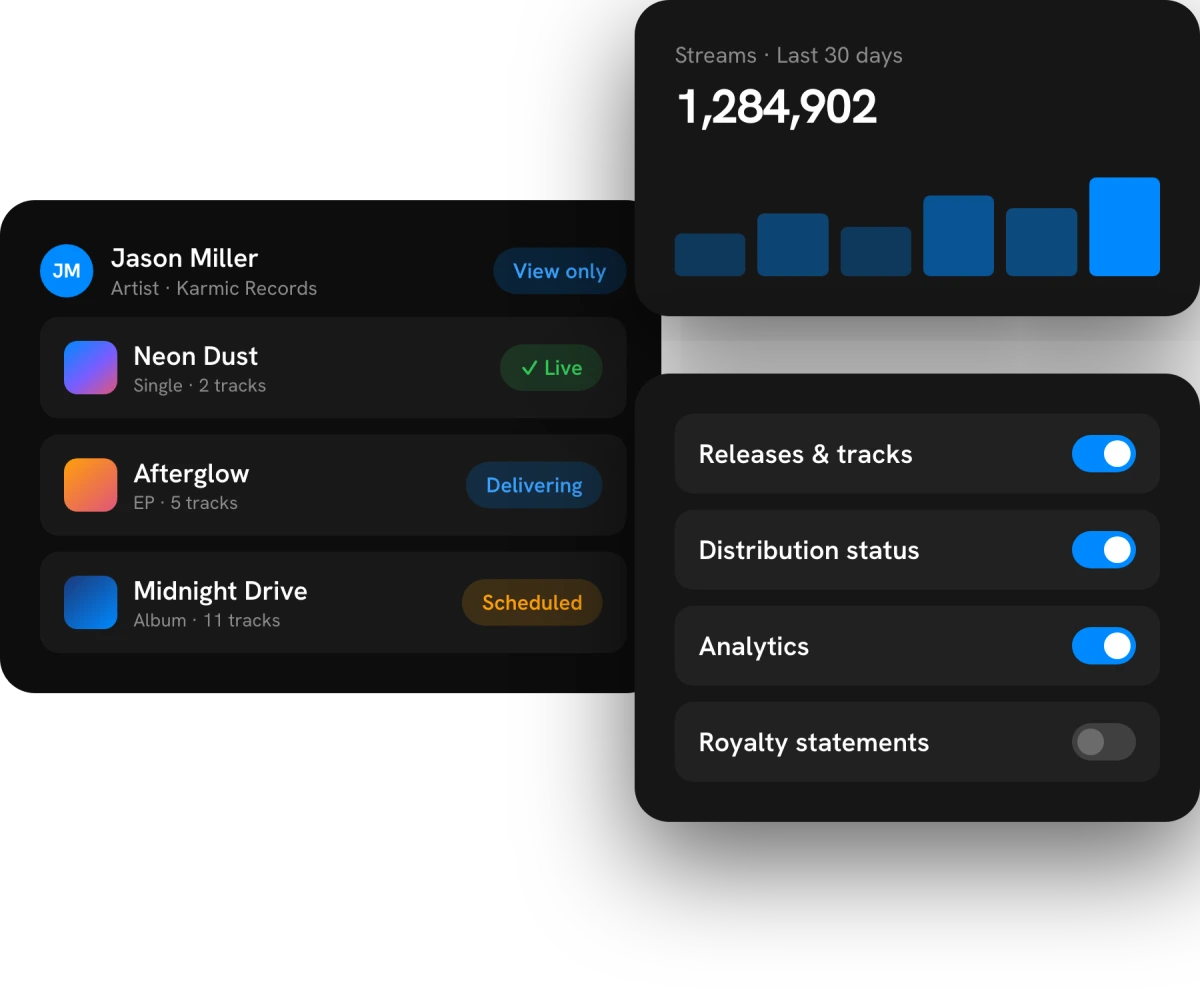 Artist and label portal showing a release catalog, distribution status, and streaming analytics